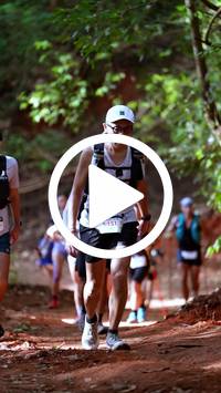 BIB:  <button type="button" onclick="openModal(27383741)" class="btn btn-primary btn-sm float-right" data-toggle="modal" data-target=".modal-high-quality">
                <i class="fa fa-download"></i> Download
                </button>